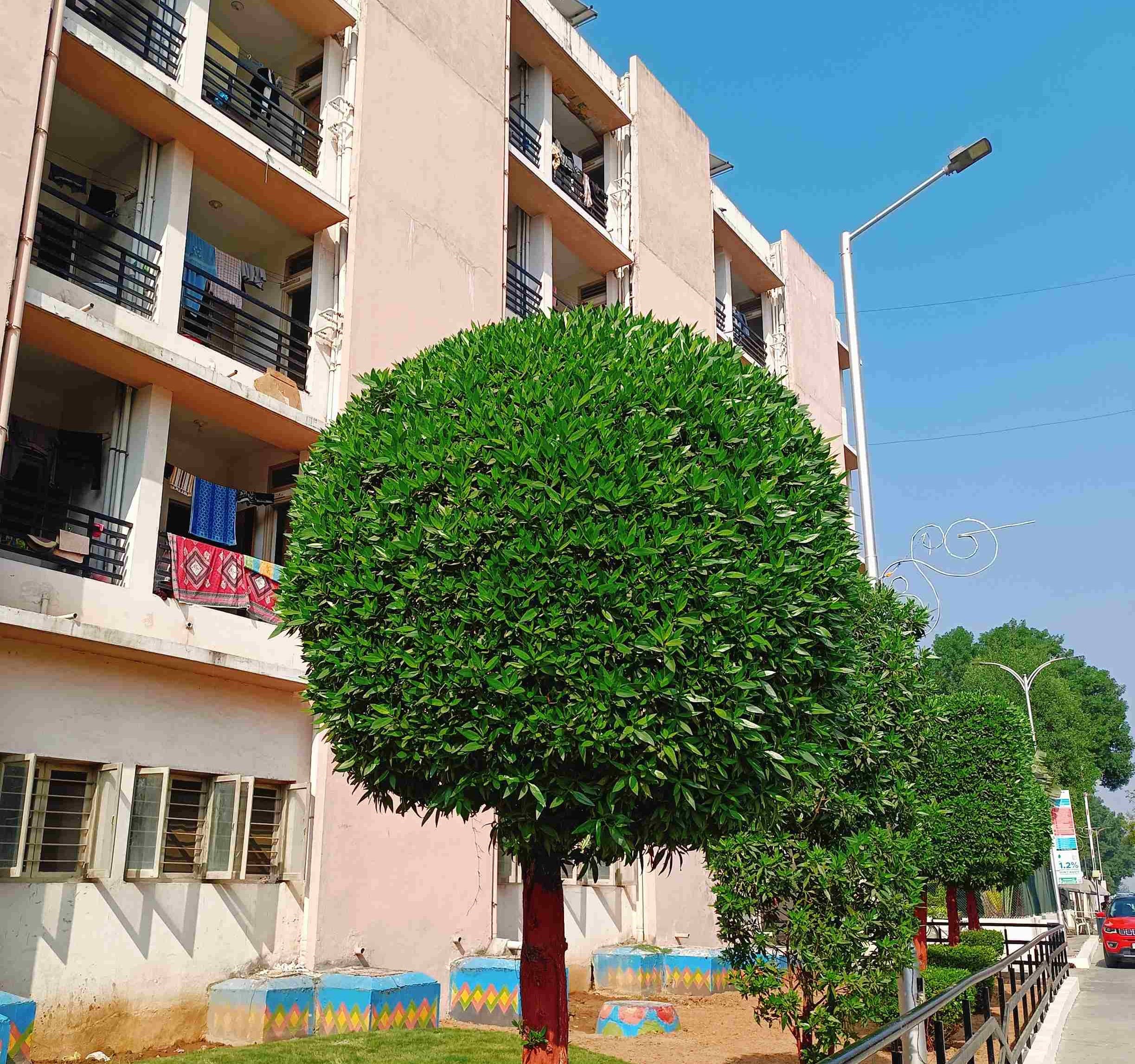 Parul University Hostel photo 18